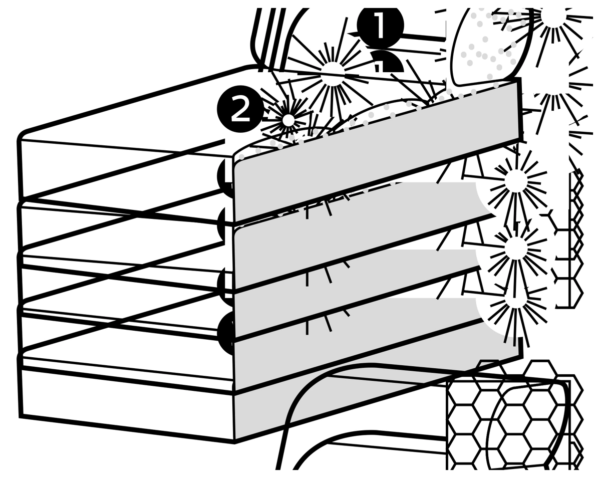 SITS Standard · officiële comfortdoorsnede